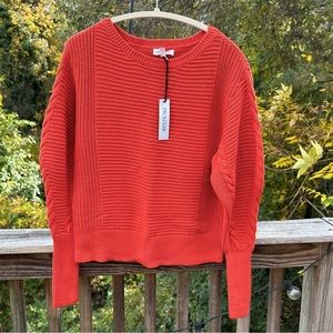 nwt PROLOGUE | Knit Sweater | Medium